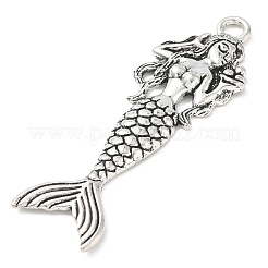 Tibetan Style Alloy Big Pendants&nbsp;AL-CBACA42-06AS