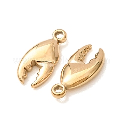 304 Stainless Steel Charms&nbsp;SA-D002-06G