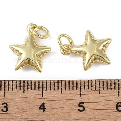 Brass Pendant with Jump Rings&nbsp;KK-O147-01A-G