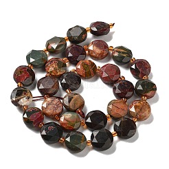 Natural Polychrome Jasper/Picasso Stone/Picasso Jasper Beads Strands&nbsp;G-NH0004-010