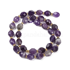 Natural Amethyst Beads Strands&nbsp;G-N342-149G
