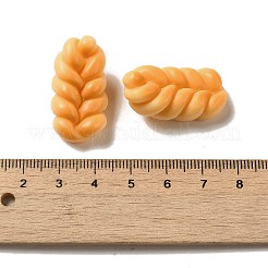 Opaque Resin Imitation Food Decoden Cabochons&nbsp;RESI-A033-05I