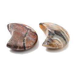 Natural Mexican Lace Agate Beads&nbsp;G-J391-04D