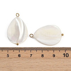 Natural Shell Teardrop Pendants&nbsp;STAS-D378-33G
