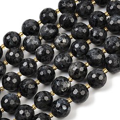 Natural Larvikite Beads Strands&nbsp;G-C249-A07-16mm