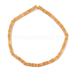 Handmade Lampwork Beads Strands&nbsp;LAMP-Q037-02B-20