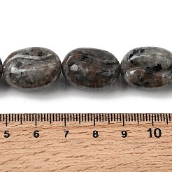 Natural Fluorescent Syenite Rock(Glow under UV Light)  Beads Strands&nbsp;G-K362-D02-03