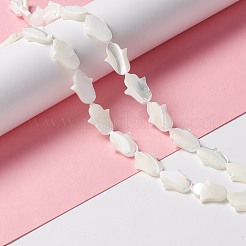 Natural Trochid Shell/Trochus Shell Beads&nbsp;SSHEL-O001-23B