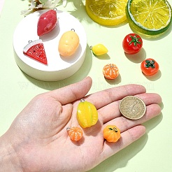 10Pcs 10 Styles Autumn Theme Resin Pendants&nbsp;FIND-YW0005-42