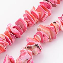 Natural Shell Bead Strands&nbsp;BSHE-P010-M