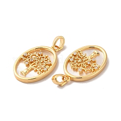 Brass Shell Pendants&nbsp;LS-KK-M243-34G