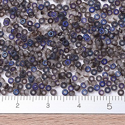 MIYUKI Round Rocailles Beads&nbsp;X-SEED-G007-RR4556
