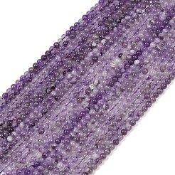 Natural Amethyst Beads Strands&nbsp;G-M445-6mm-01C