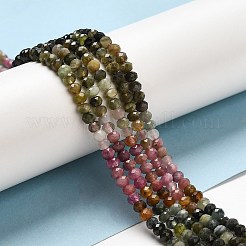Natural Multicolor Tourmaline Beads Strands&nbsp;G-E608-C06