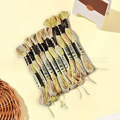 10 Skeins 6-Ply Polyester Embroidery Floss&nbsp;OCOR-CY0003-16B