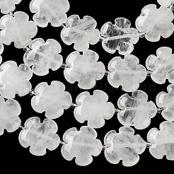 Natural Quartz Crystal Beads Strands&nbsp;G-L241A-20