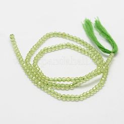 Natural Peridot Bead Strands&nbsp;X-G-P271-3mm-12