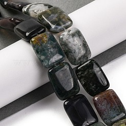 Natural Indian Agate Beads Strands&nbsp;G-T047-B25-01