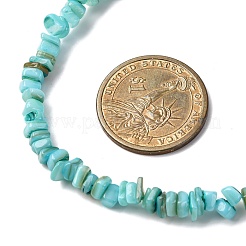 Dyed Natural Freshwater Shell Nuggets Beaded Necklaces&nbsp;NJEW-JN05488-02