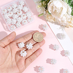 10Pcs Resin & Alloy European Beads&nbsp;FIND-PA0001-50