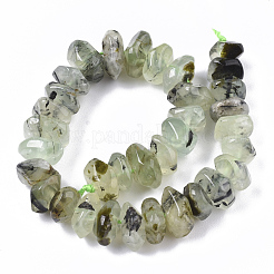 Natural Prehnite Beads Strands&nbsp;G-R462-18
