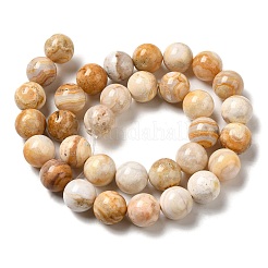 Natural Crazy Lace Agate Beads Strands&nbsp;G-H298-A12-05