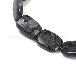 Natural Larvikite Beads Strands&nbsp;G-U018-H08-01