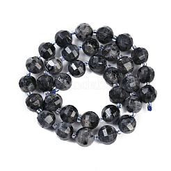 Natural Larvilite Beads Strands&nbsp;G-G182-B03-05