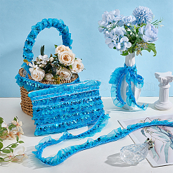 Polyester Pleated Lace Trim&nbsp;OCOR-WH0109-101
