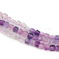 Natural Fluorite Beads Strands&nbsp;G-P457-B01-55