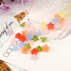 Mixed Color Frosted Transparent Acrylic Flower Beads&nbsp;X-M-PL554