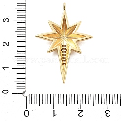 Brass Micro Pave Cubic Zirconia Pendants&nbsp;KK-L209-083G