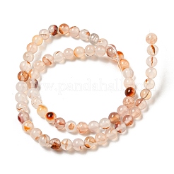 Natural Red Dendritic Agate Beads Strands&nbsp;G-A232-A02-02