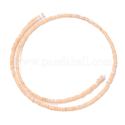Natural Freshwater Shell Beads Strands&nbsp;SHEL-P017-01A-12