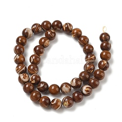 Natural Trochus Shell Beads Strands&nbsp;SH-CBAFEDD-02C