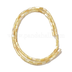 Natural Trochus Shell Beads Strands&nbsp;SHEL-K006-37