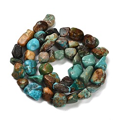Natural HuBei Turquoise Beads Strands&nbsp;G-P497-01E-19