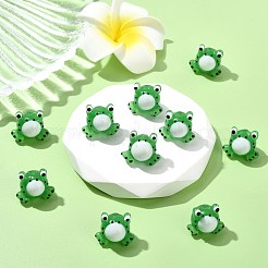 10Pcs Handmade Lampwork Beads&nbsp;LAMP-CJ0002-39