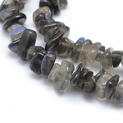 Natural Labradorite Beads Strands&nbsp;G-P332-54