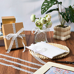 Polyester Lace Triming Ribbons&nbsp;OCOR-WH20050-028A
