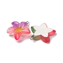 Transparent Resin Pendants&nbsp;RESI-A046-05F