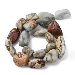 Natural Shoushan Stone Beads Strands&nbsp;G-D098-C05