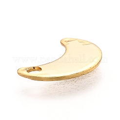 201 Stainless Steel Charms&nbsp;STAS-B001-17G