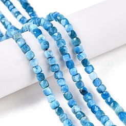 Natural Apatite Beads Strands&nbsp;G-N342-122