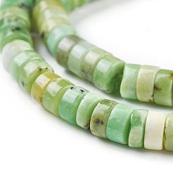 Natural Serpentine Beads Strands&nbsp;G-F612-03