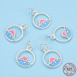 925 Sterling Silver Enamel Charms&nbsp;STER-T004-06S-02