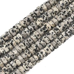 Natural Dalmatian Jasper Beads Strands&nbsp;G-L654-I01-01