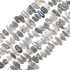 Natural Labradorite Beads Strands&nbsp;G-C273-B01
