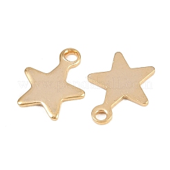 201 Stainless Steel Charms&nbsp;STAS-F039-04A-G