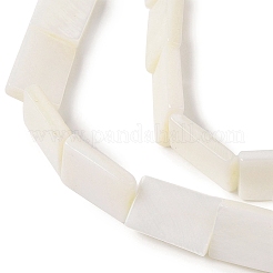 Natural Freshwater Shell Beads Strands&nbsp;BSHE-H018-03